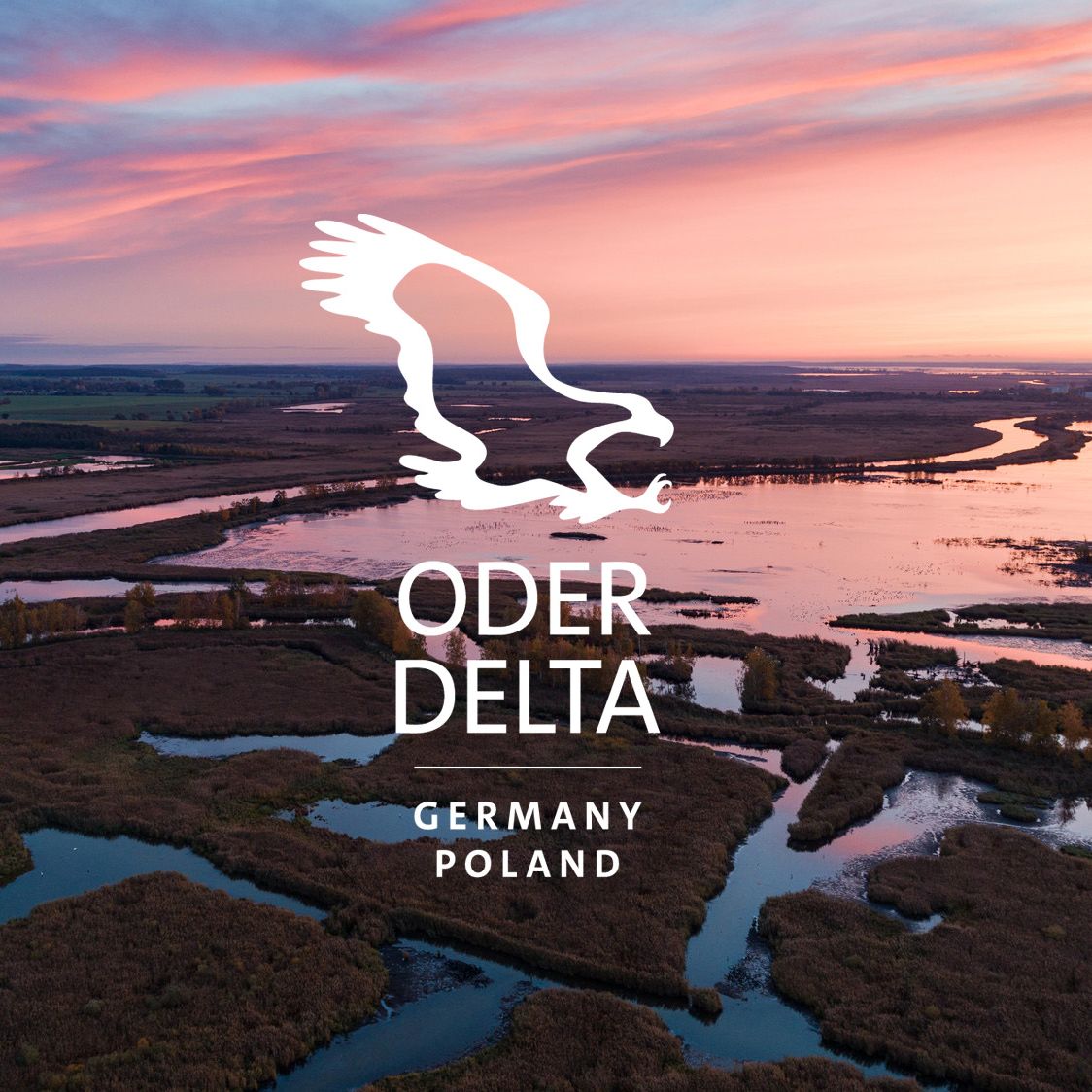 Rewilding-Oder-Delta_sq